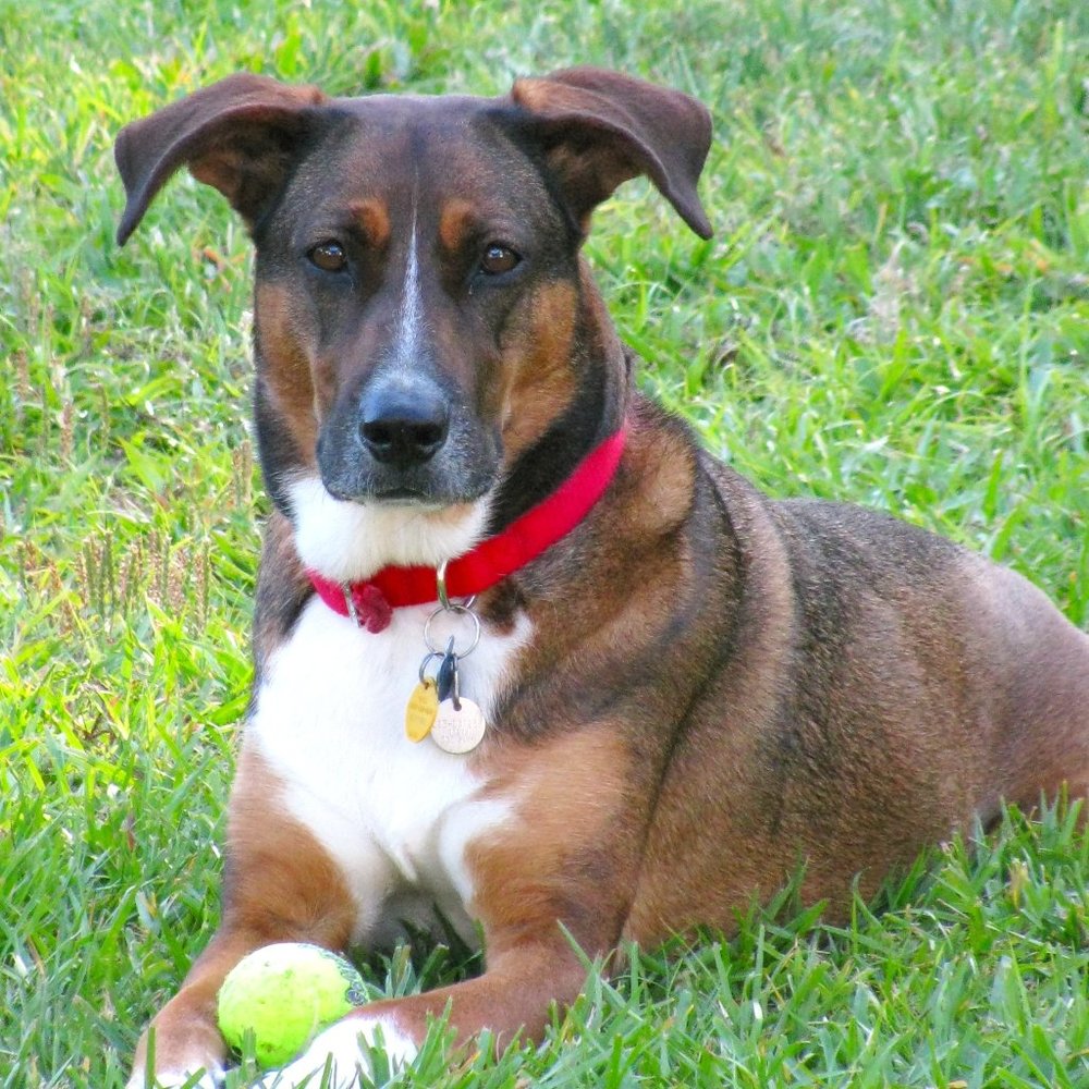 Meet your Posher, Lynn